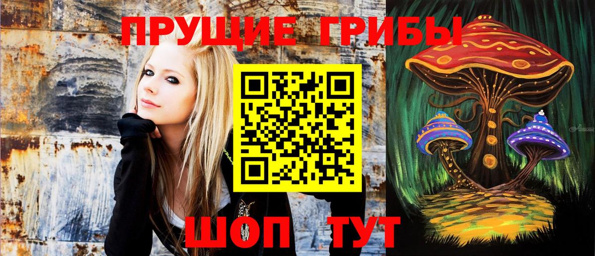 Галлюциногенные грибы мухоморы Омск