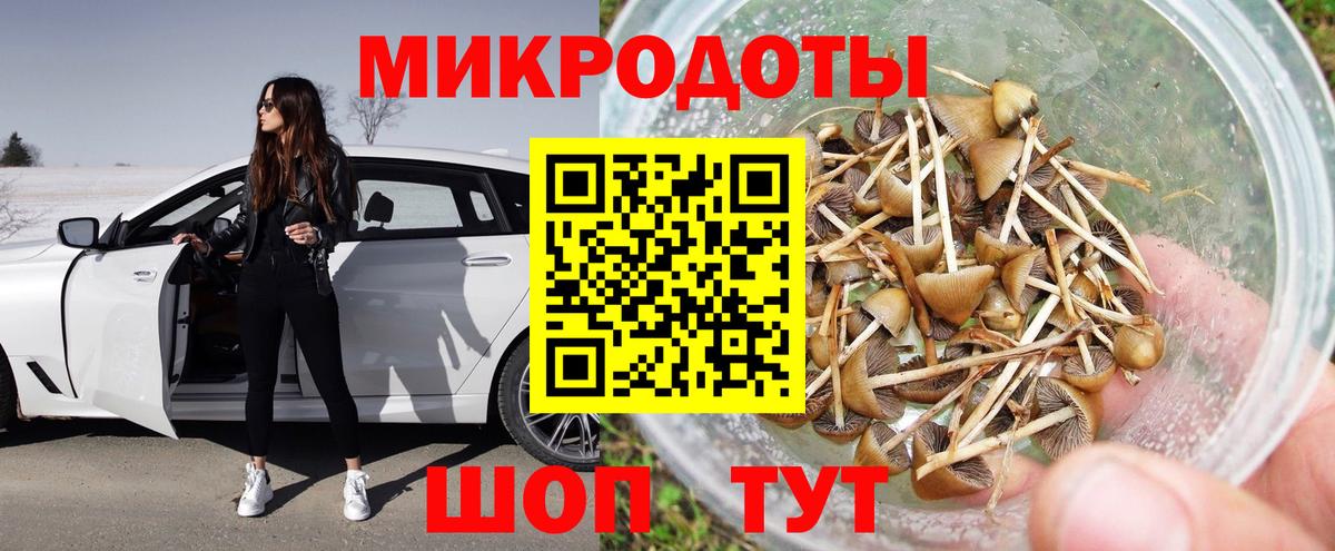 Омск  Псилоцибиновые грибы Psilocybe  Вход с VPN 